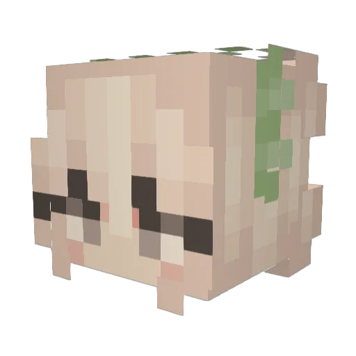 Andelija Minecraft avatar head, 3D render