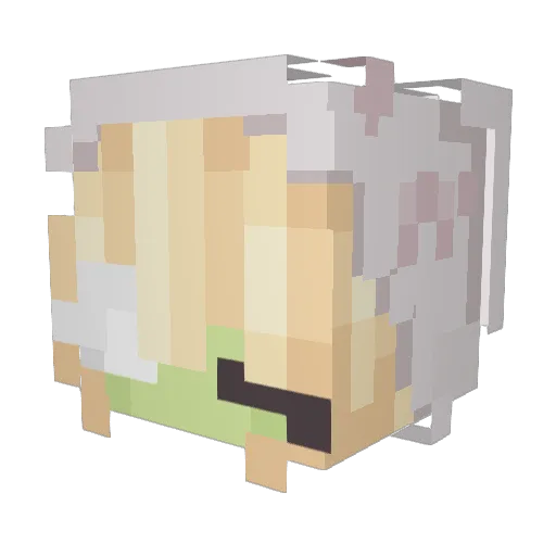 Andendite Minecraft avatar head, 3D render