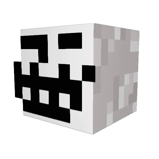Ander2207 Minecraft avatar head, 3D render