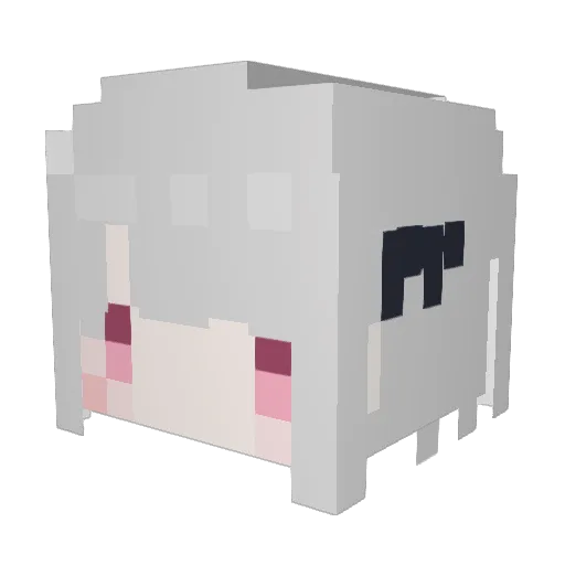 Ander_owo Minecraft avatar head, 3D render