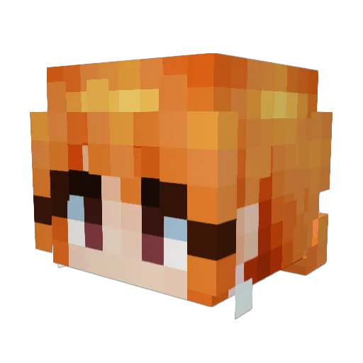 Anderdingus37 Minecraft avatar head, 3D render