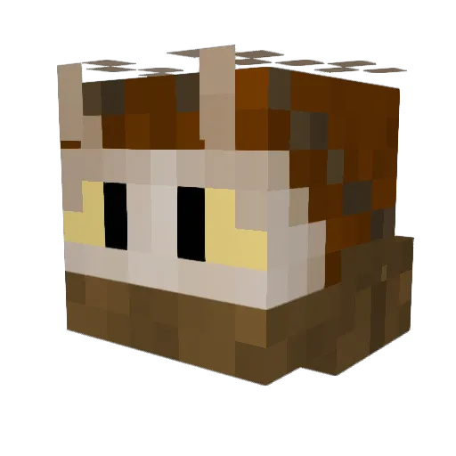 Andererion Minecraft avatar head, 3D render
