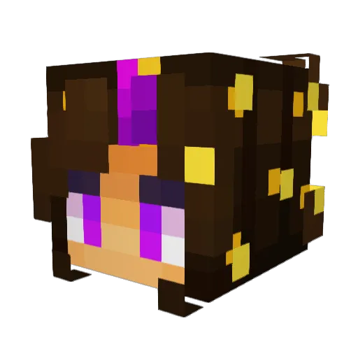 Anderish Minecraft avatar head, 3D render