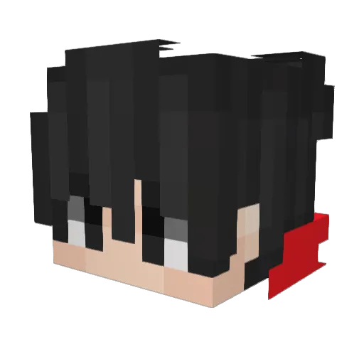 Anderkller Minecraft avatar head, 3D render