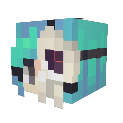 Anderman70 Minecraft avatar head, 3D render