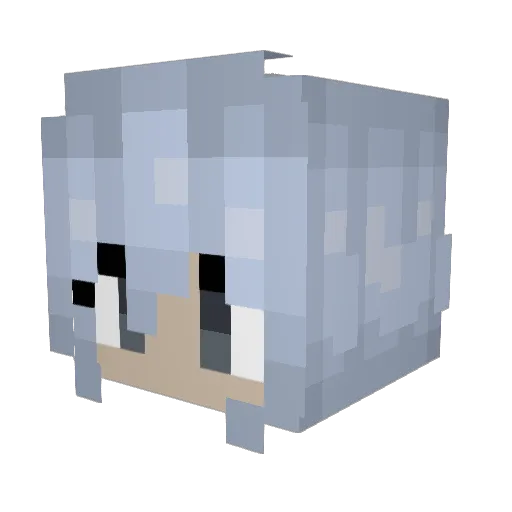 Anderr_Dingus Minecraft avatar head, 3D render