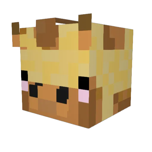 AndersRG Minecraft avatar head, 3D render