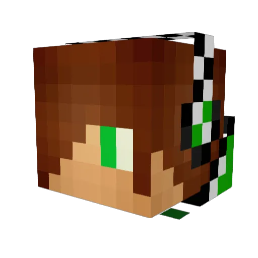 Anders_2002 Minecraft avatar head, 3D render