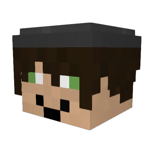 Anderson343 Minecraft avatar head, 3D render