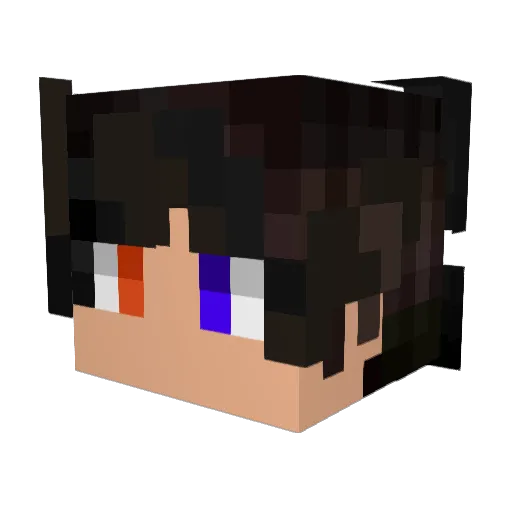 Andersonicplay Minecraft avatar head, 3D render