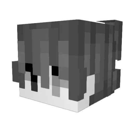Andersqn Minecraft avatar head, 3D render