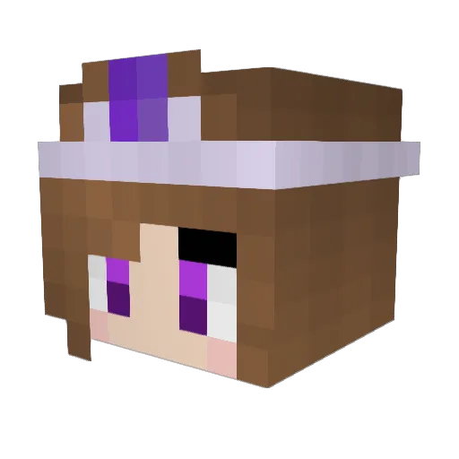 Anderwyn Minecraft avatar head, 3D render