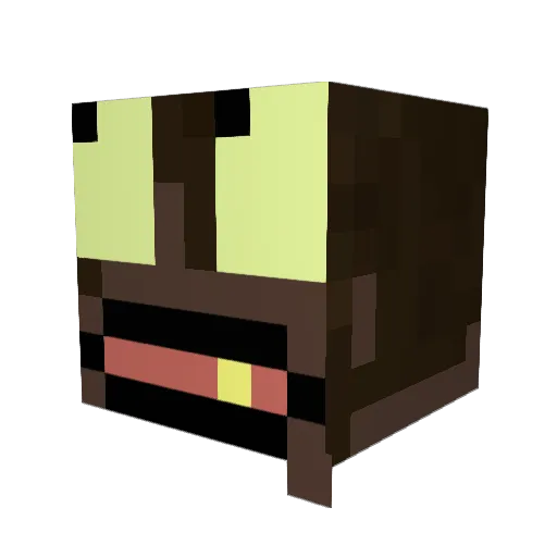 AndesMom Minecraft avatar head, 3D render