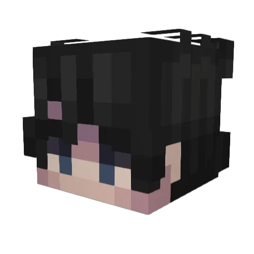 Andi202 Minecraft avatar head, 3D render
