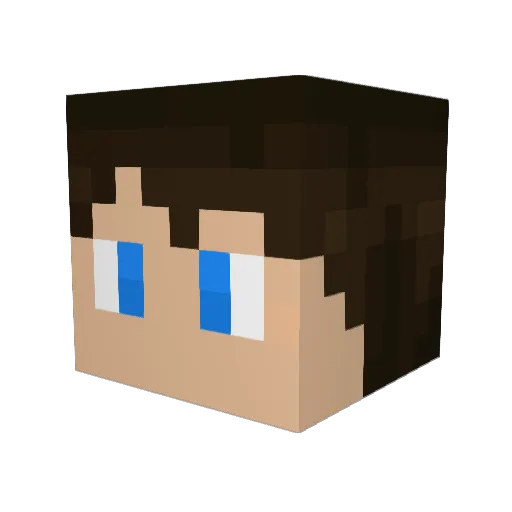Andidy14 Minecraft avatar head, 3D render