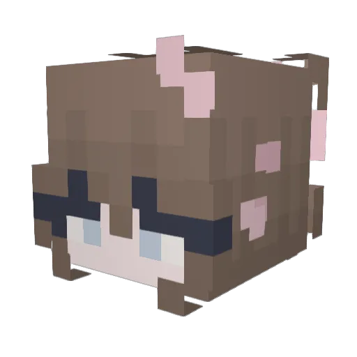Andie_Cat Minecraft avatar head, 3D render