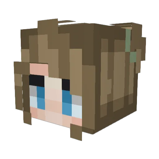 Andirising Minecraft avatar head, 3D render