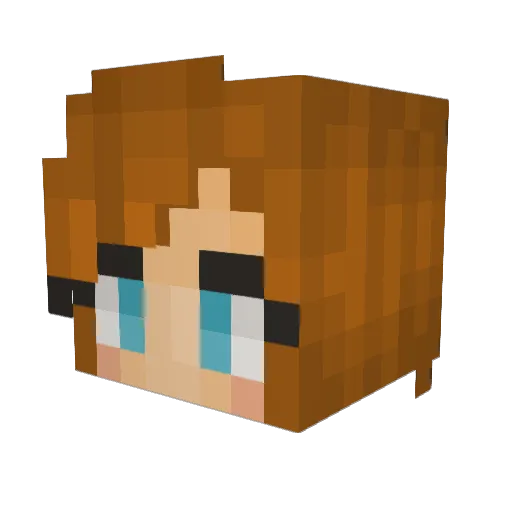 Anditeo Minecraft avatar head, 3D render