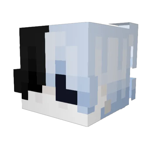 AndixxPlayz Minecraft avatar head, 3D render