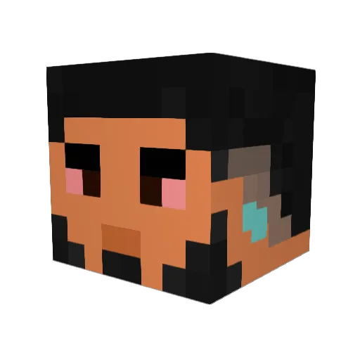 Andlarson Minecraft avatar head, 3D render