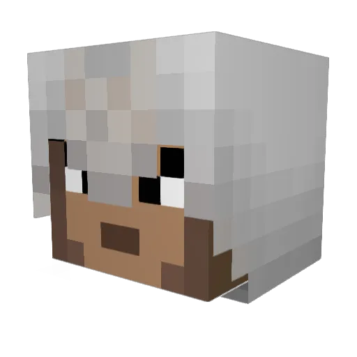 Andor759 Minecraft avatar head, 3D render