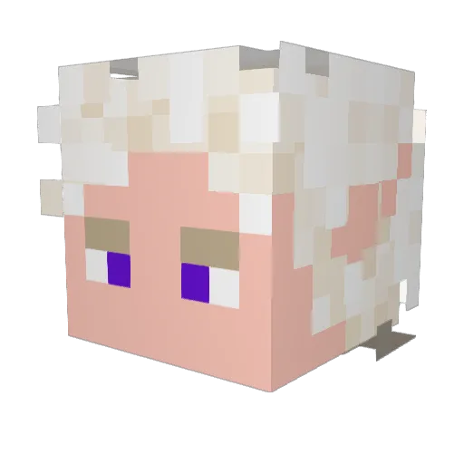 Andoregami Minecraft avatar head, 3D render