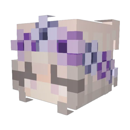 Andr3w_420 Minecraft avatar head, 3D render