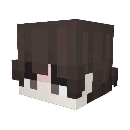 Andrake25 Minecraft avatar head, 3D render