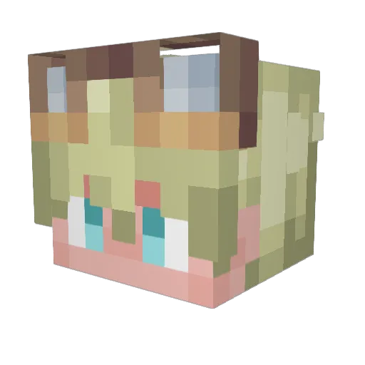 Andre_0Z Minecraft avatar head, 3D render