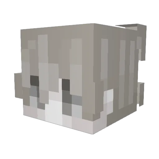 Andreas_xxx Minecraft avatar head, 3D render