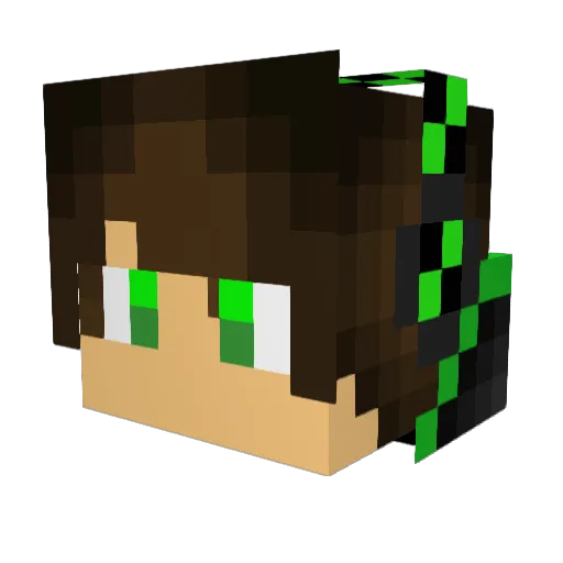 Andregamer_5 Minecraft avatar head, 3D render