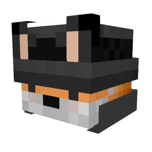 Andreh233 Minecraft avatar head, 3D render