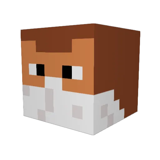 AndrejMaster Minecraft avatar head, 3D render