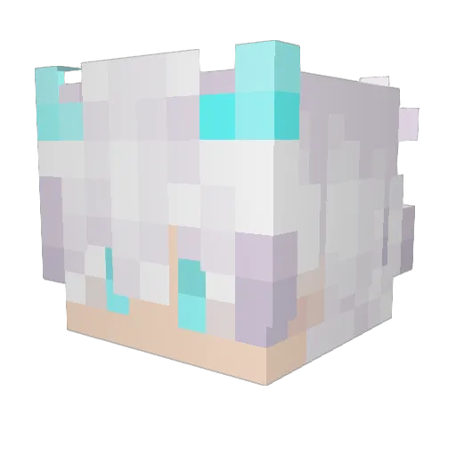 Andres050 Minecraft avatar head, 3D render