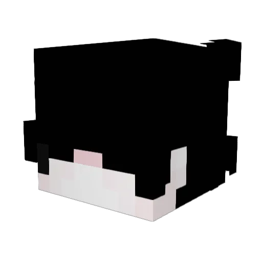 AndresDLF Minecraft avatar head, 3D render