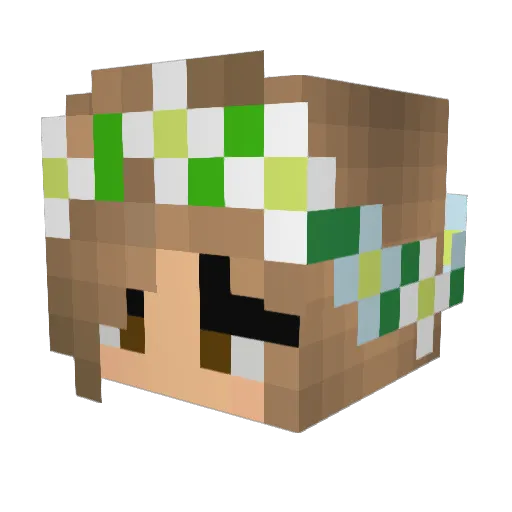 Andreuwu69 Minecraft avatar head, 3D render