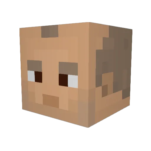 Andrew1104 Minecraft avatar head, 3D render