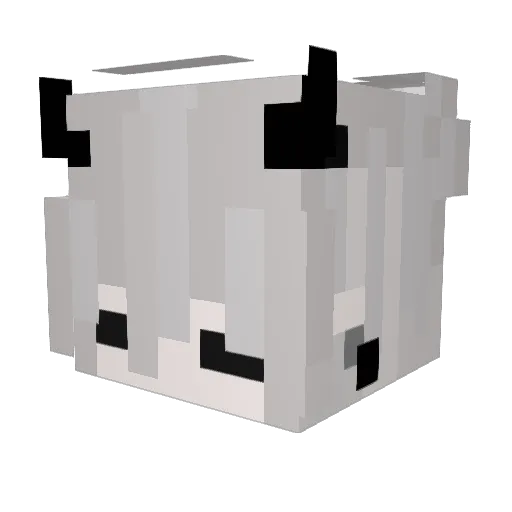 Andrew1ll__ Minecraft avatar head, 3D render