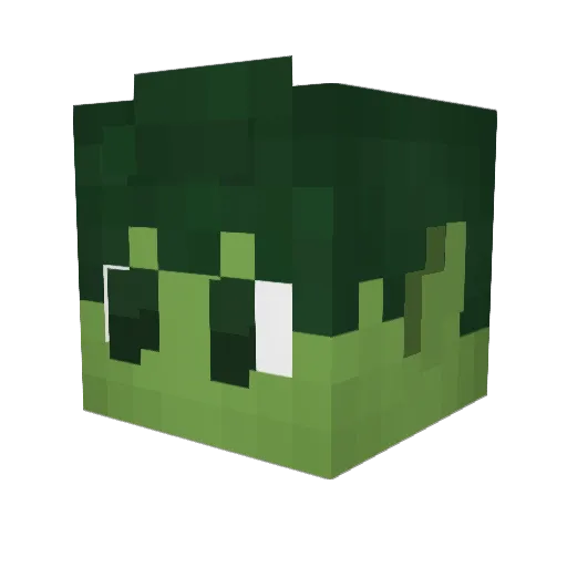 Andrew22755 Minecraft avatar head, 3D render