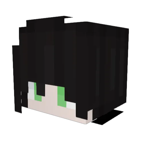 Andrew311207 Minecraft avatar head, 3D render