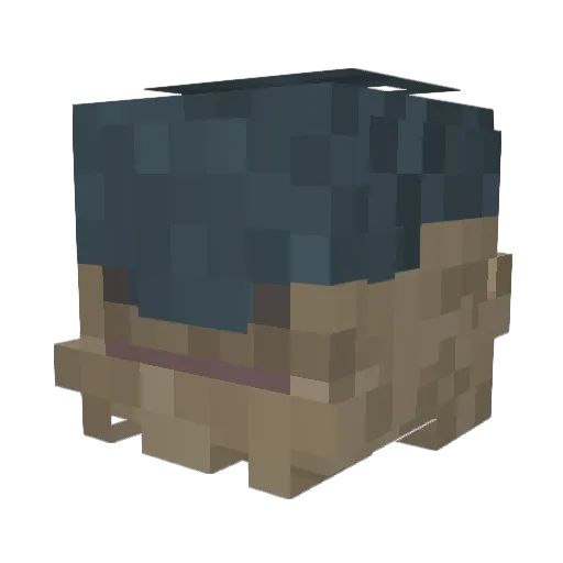 Andrew79432 Minecraft avatar head, 3D render