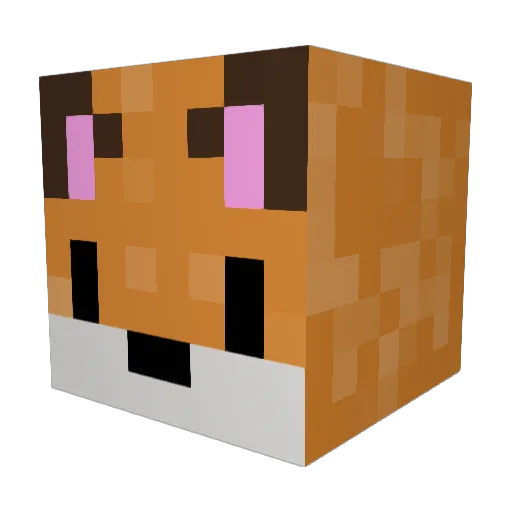 Andrew7u7 Minecraft avatar head, 3D render