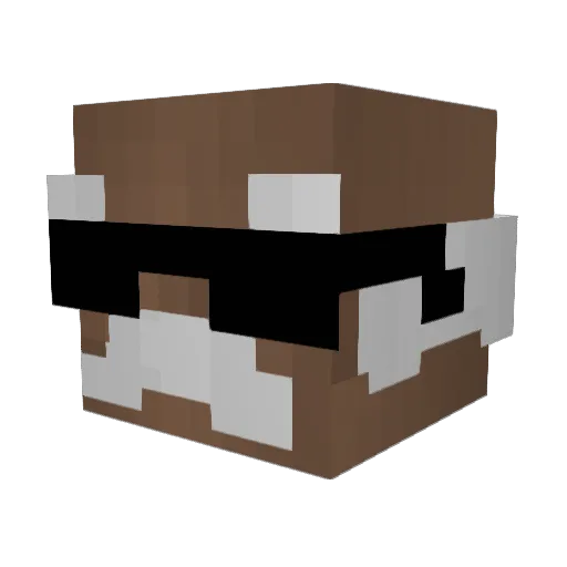 AndrewIAN20 Minecraft avatar head, 3D render