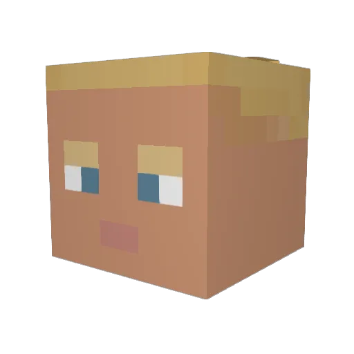 AndrewOok Minecraft avatar head, 3D render