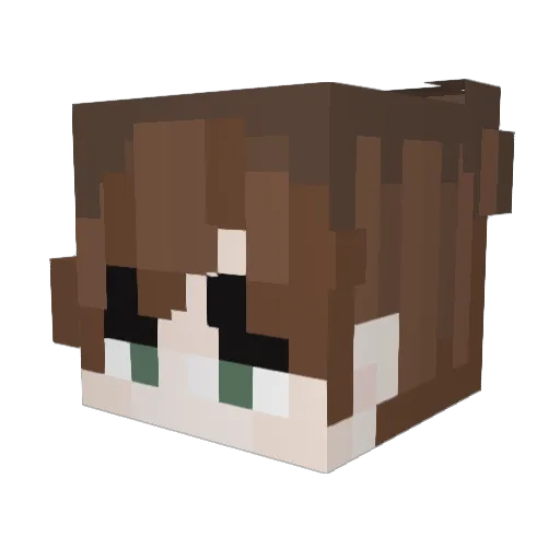 Andrew_Nix Minecraft avatar head, 3D render