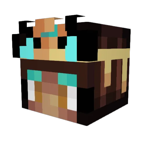 Andrewski321 Minecraft avatar head, 3D render