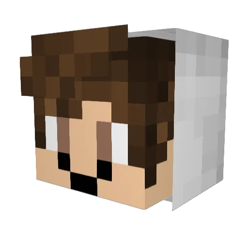 Andrey3000 Minecraft avatar head, 3D render