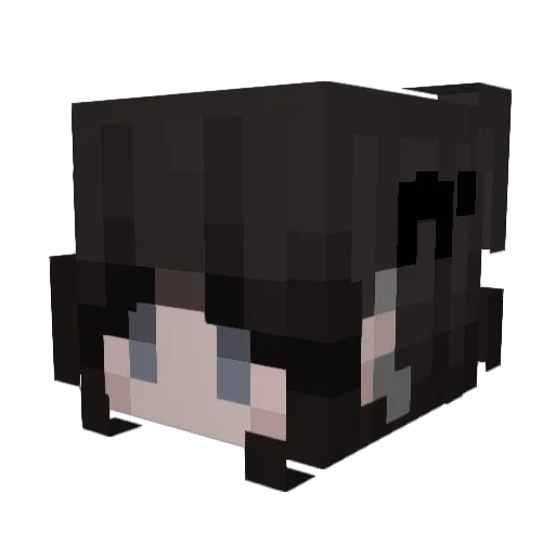 Andrilidad Minecraft avatar head, 3D render