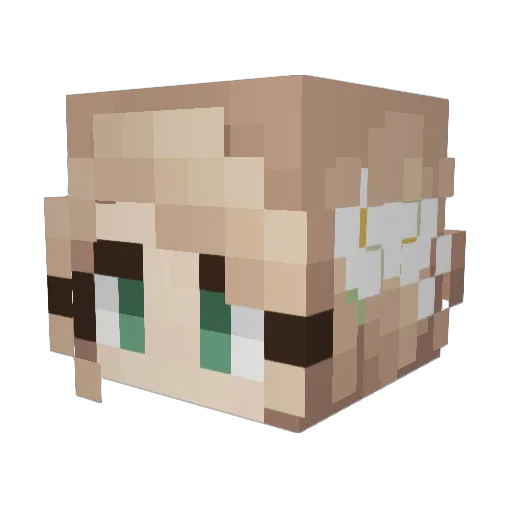 Andrinisus Minecraft avatar head, 3D render