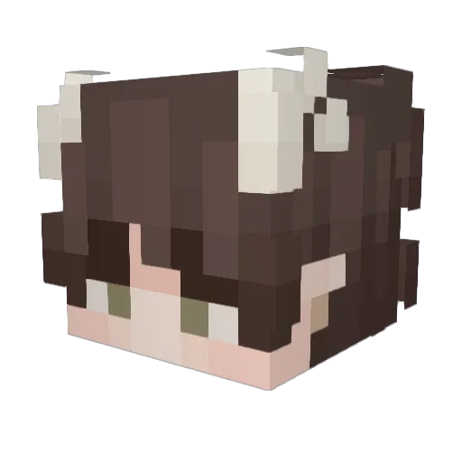 Andriooo Minecraft avatar head, 3D render